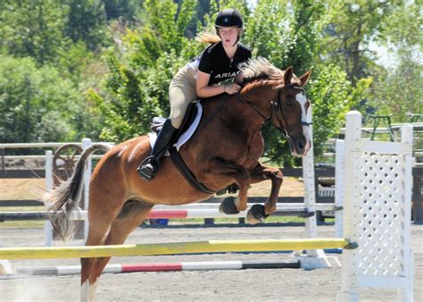 cougar mountain stables